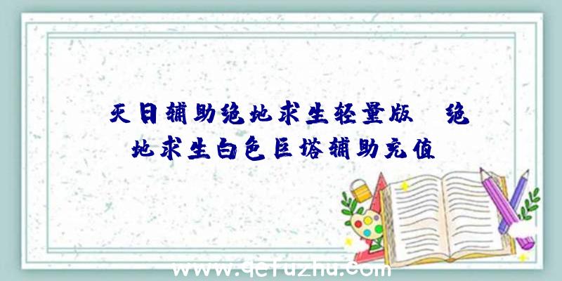 「灭日辅助绝地求生轻量版」|绝地求生白色巨塔辅助充值